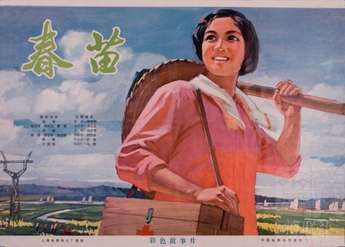 办个假离婚证在哪儿办